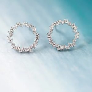 Silver Wreath Earrings