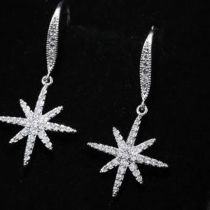 Silver Shining Star Hook Earring